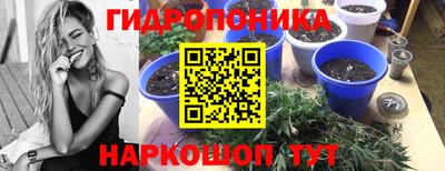 a pvp Кумертау