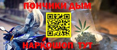 прущие грибы Краснодар
