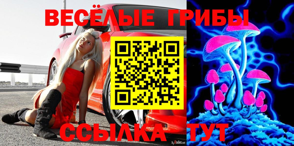 Псилоцибиновые грибы MAGIC MUSHROOMS Удомля